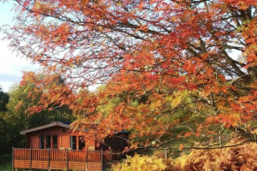 Glas Doire Lodge, Glen Roy Nature Reserve Roybridge